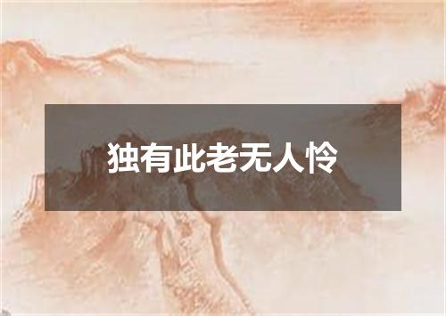 独有此老无人怜
