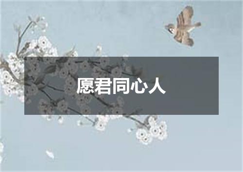 愿君同心人