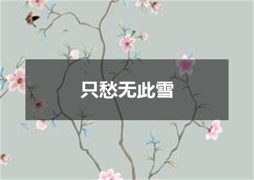 只愁无此雪