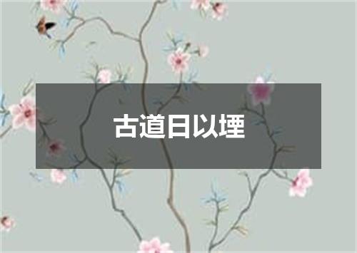 古道日以堙