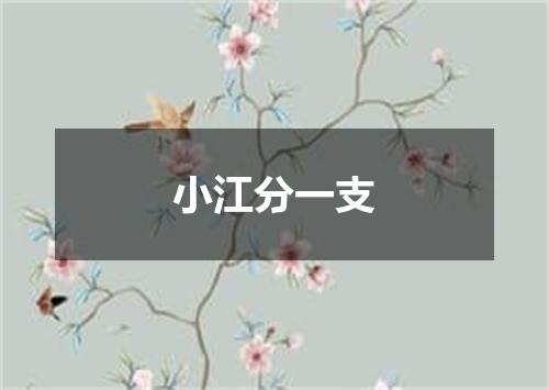 小江分一支