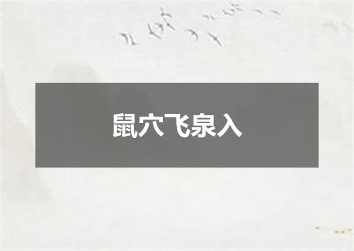鼠穴飞泉入