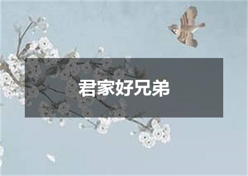 君家好兄弟
