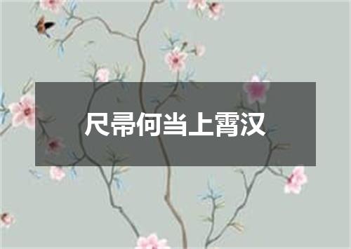 尺帚何当上霄汉