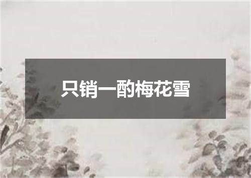 只销一酌梅花雪