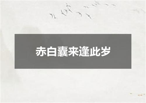 赤白囊来逢此岁