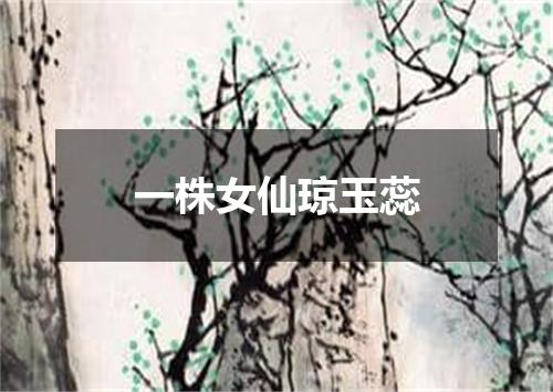 一株女仙琼玉蕊