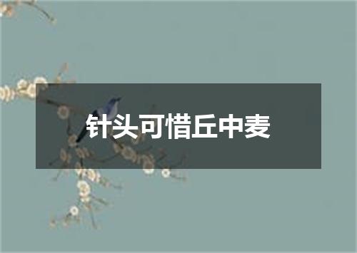 针头可惜丘中麦