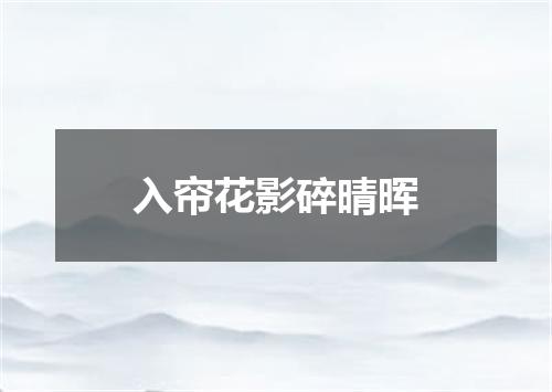 入帘花影碎晴晖