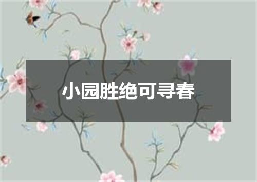 小园胜绝可寻春