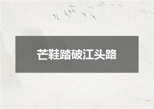 芒鞋踏破江头路