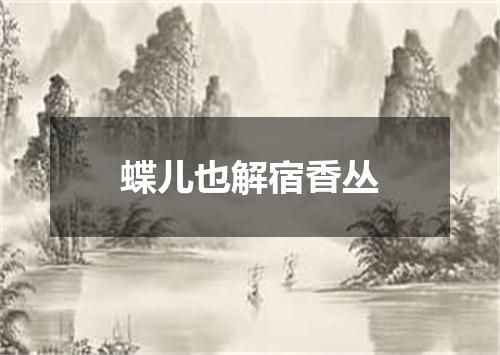 蝶儿也解宿香丛