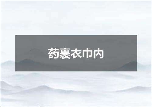 药裹衣巾内