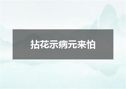 拈花示病元来怕