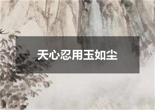 天心忍用玉如尘