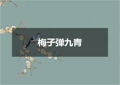 梅子弹九青