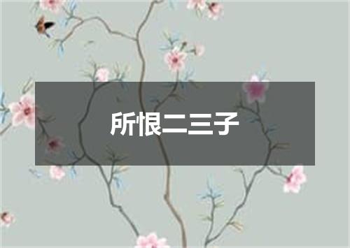 所恨二三子