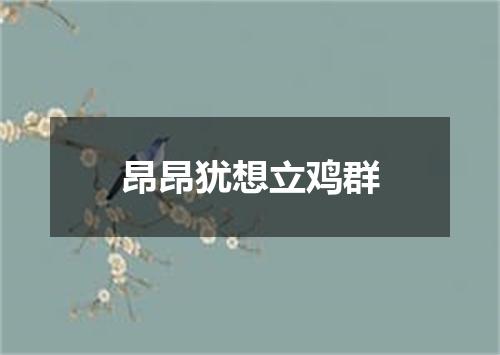 昂昂犹想立鸡群