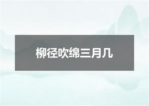 柳径吹绵三月几