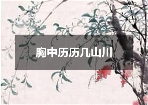 胸中历历几山川