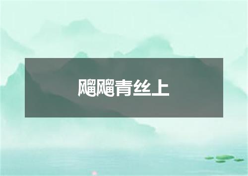 飗飗青丝上