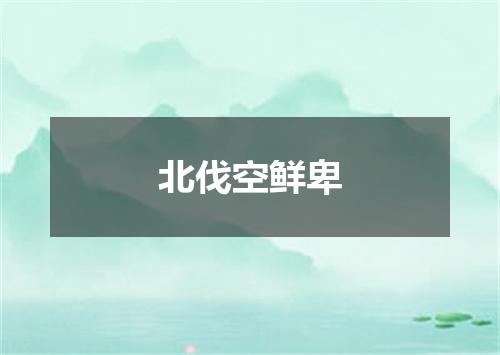 北伐空鲜卑