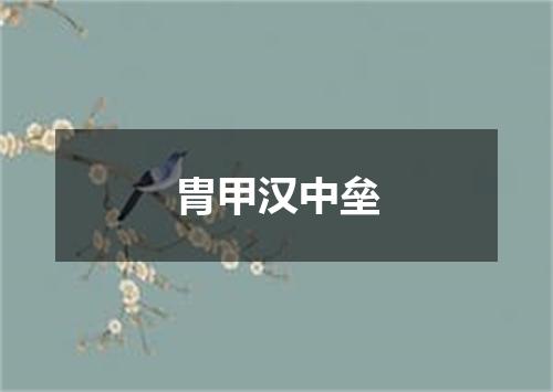 胄甲汉中垒