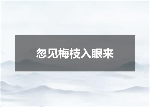 忽见梅枝入眼来