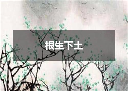 根生下土