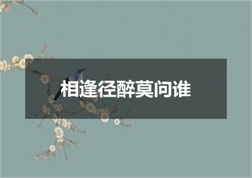 相逢径醉莫问谁