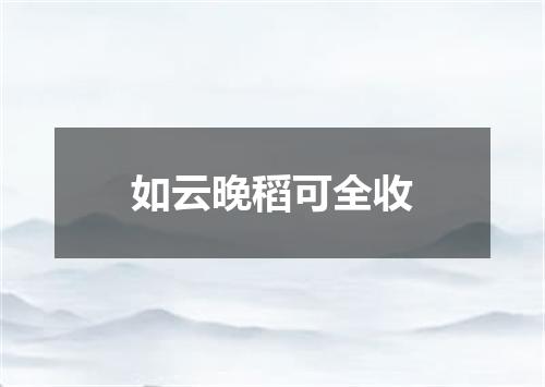 如云晚稻可全收