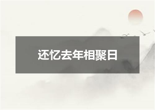 还忆去年相聚日