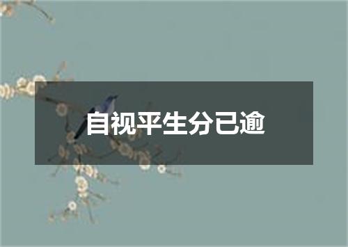 自视平生分已逾