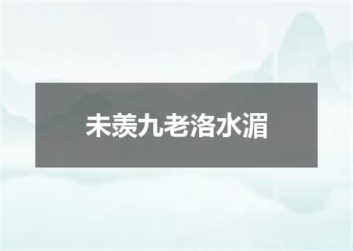 未羡九老洛水湄