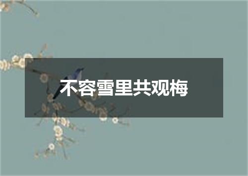 不容雪里共观梅