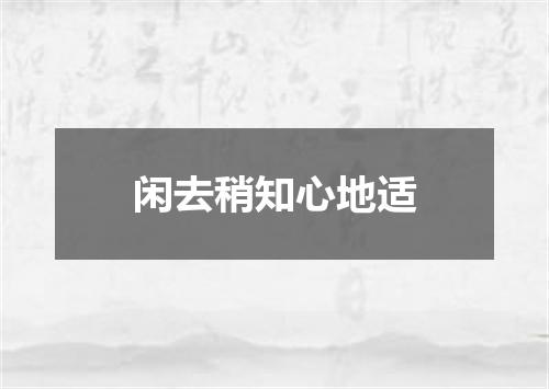 闲去稍知心地适