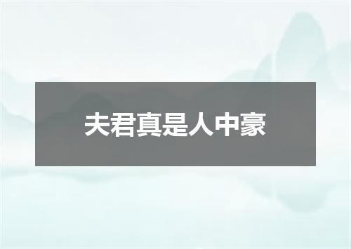 夫君真是人中豪