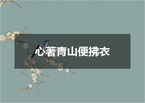 心著青山便拂衣