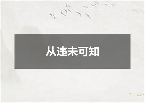 从违未可知