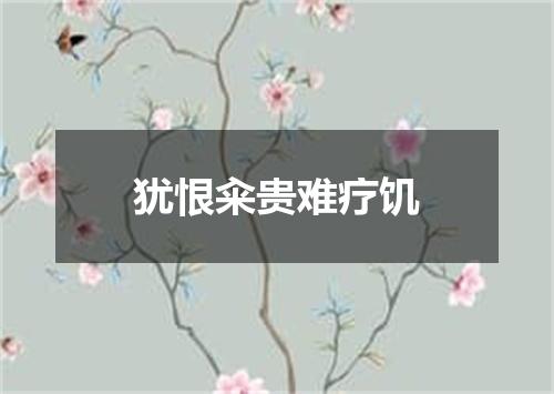 犹恨籴贵难疗饥