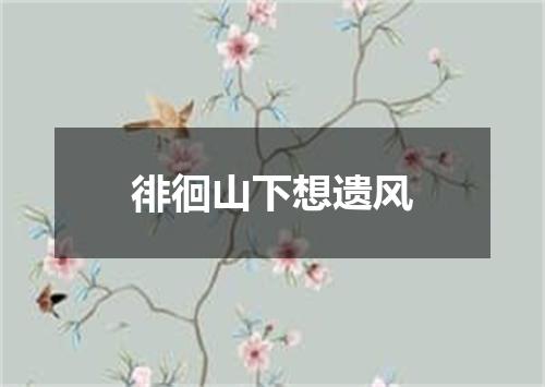 徘徊山下想遗风