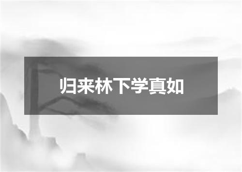归来林下学真如