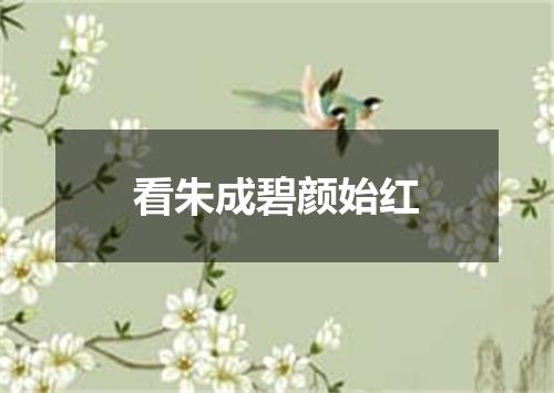看朱成碧颜始红