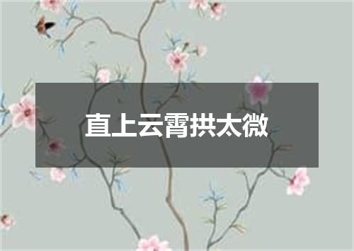 直上云霄拱太微