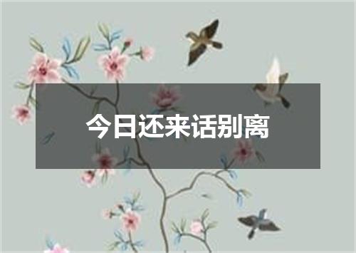 今日还来话别离