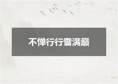 不惮行行雪满巅