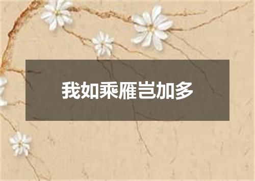 我如乘雁岂加多