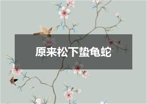 原来松下蛰龟蛇