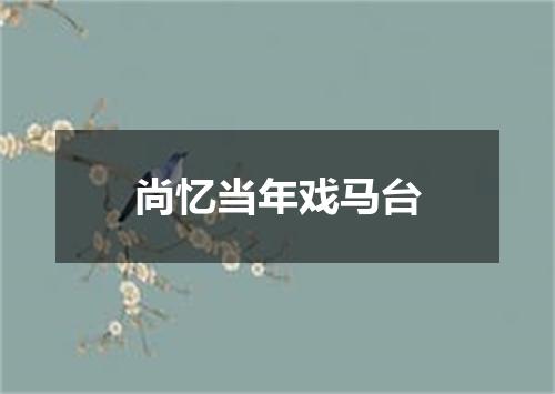 尚忆当年戏马台