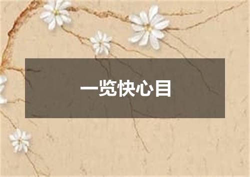 一览快心目